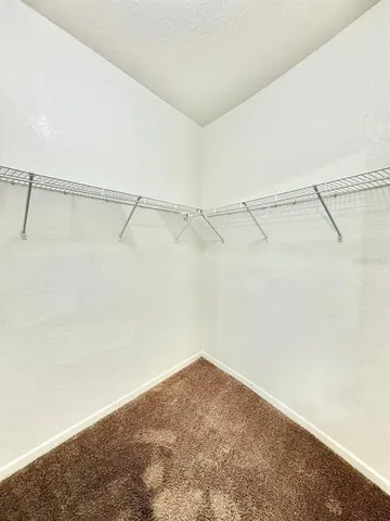 $1,450 | 17106 Carrington Park Drive, Unit 605, Tampa, FL 33647