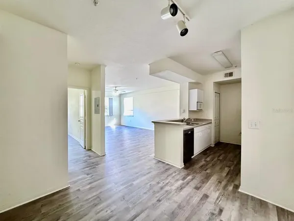 $1,450 | 17106 Carrington Park Drive, Unit 605, Tampa, FL 33647