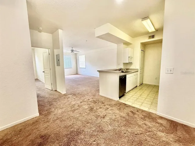 $1,450 | 17106 Carrington Park Drive, Unit 605, Tampa, FL 33647
