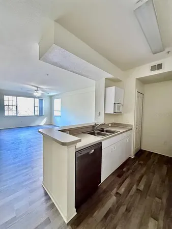 $1,450 | 17106 Carrington Park Drive, Unit 605, Tampa, FL 33647