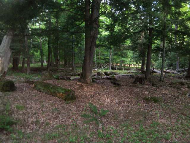 1225 Deer Path Phelps, WI 54554 - Photo 4 of 9 Gallery Image 4