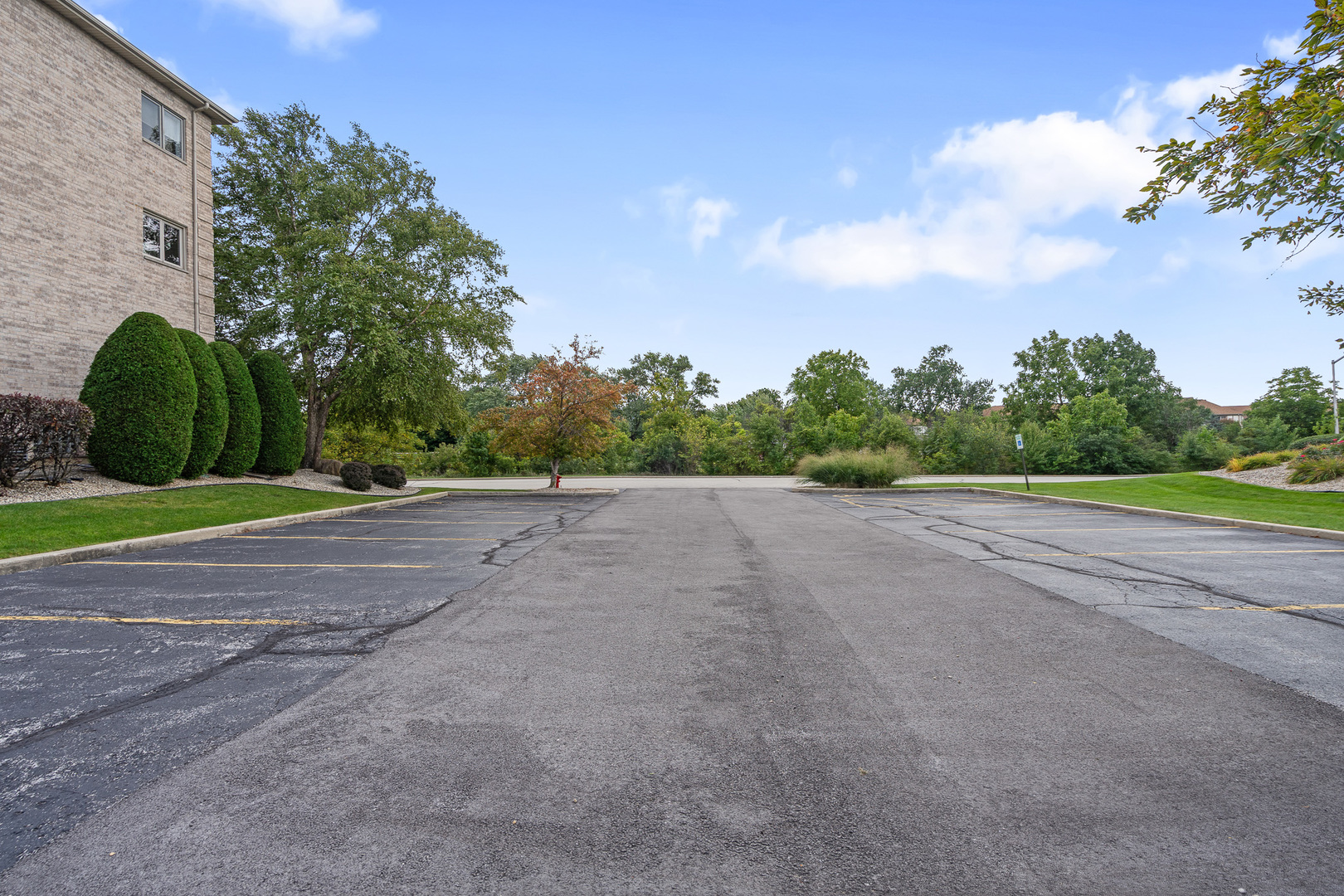 18431 Pine Cone Drive, Unit 1 Tinley Park, IL 60477 - Photo 26 of 33 a view of a road with a house in the background