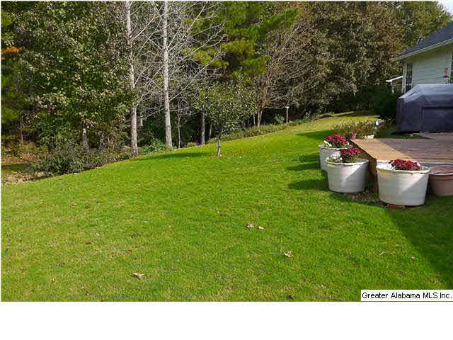 4005 Falliston Drive Helena, AL 35080 - Photo 20 of 24