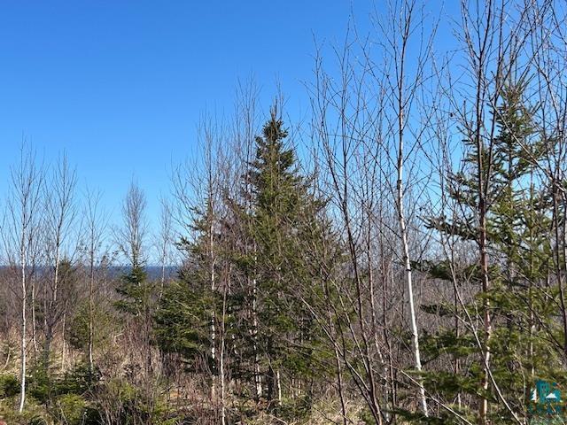 3-xx Boulder Point Road Lutsen, MN 55612 - Photo 3 of 9