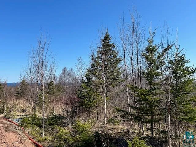 $295,000 | 3-xx Boulder Point Road, Lutsen, MN 55612