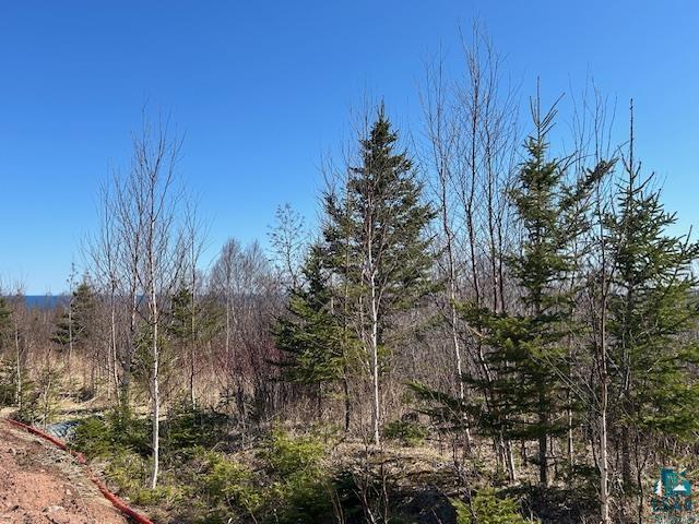 3-xx Boulder Point Road Lutsen, MN 55612 - Photo 5 of 9
