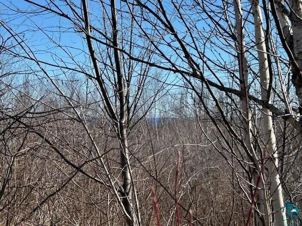 $295,000 | 3-xx Boulder Point Road, Lutsen, MN 55612