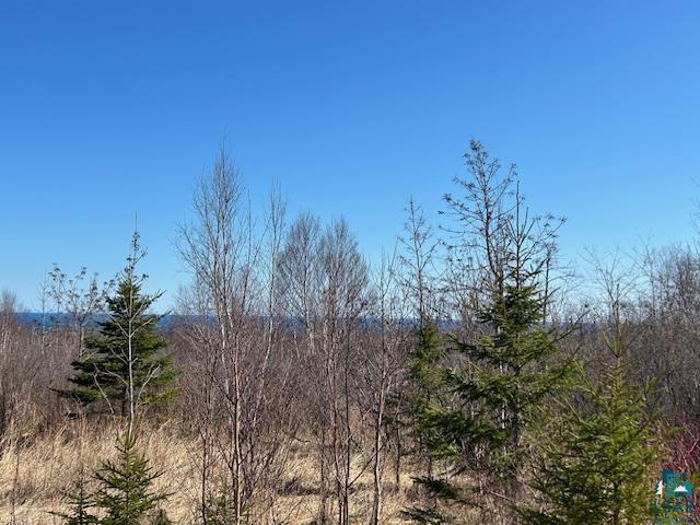 3-xx Boulder Point Road Lutsen, MN 55612 - Photo 7 of 9