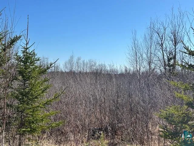 $295,000 | 3-xx Boulder Point Road, Lutsen, MN 55612