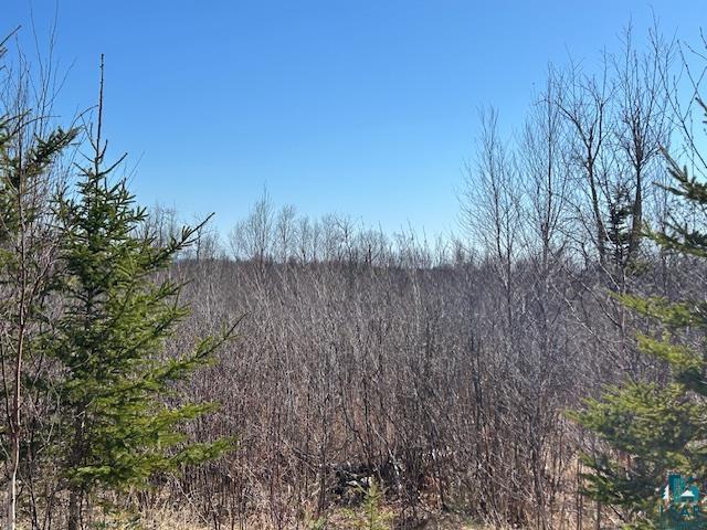 3-xx Boulder Point Road Lutsen, MN 55612 - Photo 8 of 9