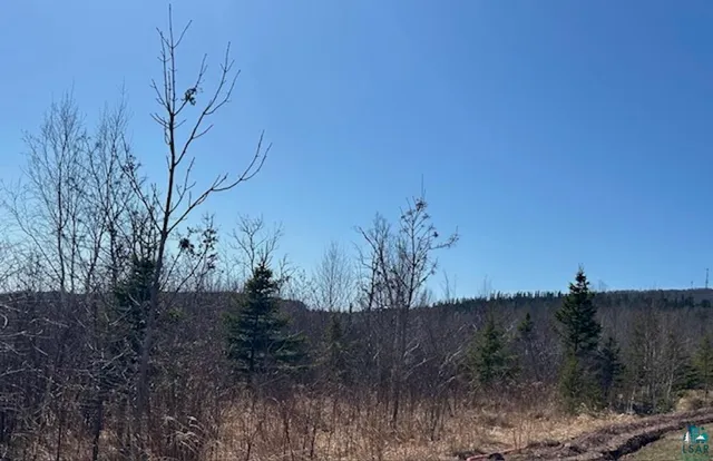 $295,000 | 3-xx Boulder Point Road, Lutsen, MN 55612