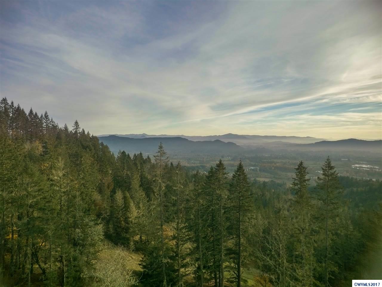Camp Creek Springfield, OR 97478 - Photo 5 of 32 a view of a city with lush green forest
