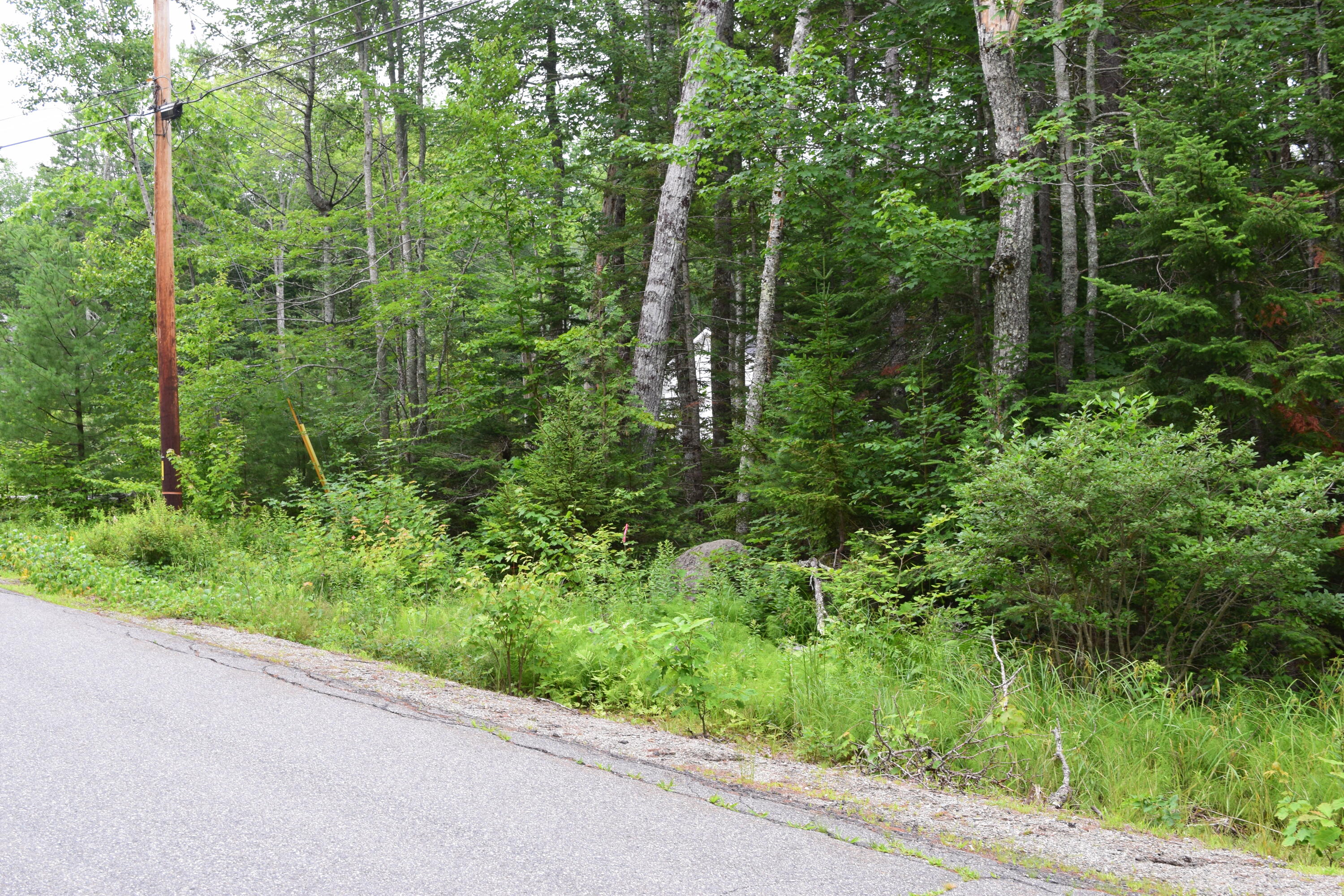0 Grandview Road Ellsworth, ME 04605 - Photo 2 of 8 DSC_0002