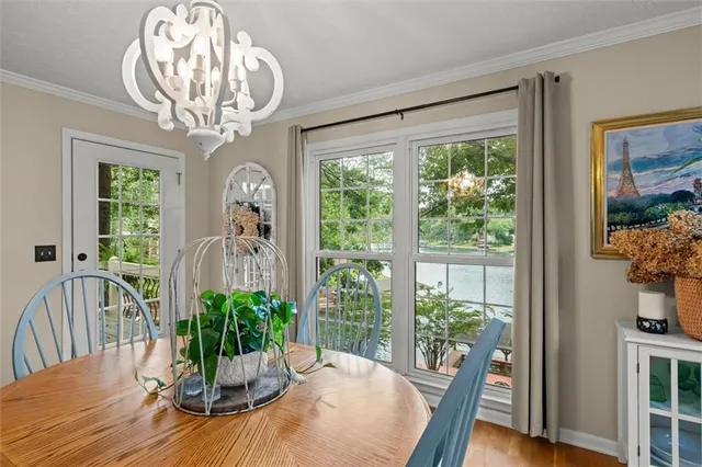 a view of a yard with plants and a bench