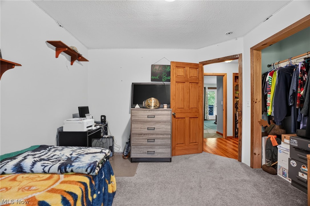 4393 Middle Road Conneaut, OH 44030 - Photo 44 of 46 Gallery Image 44