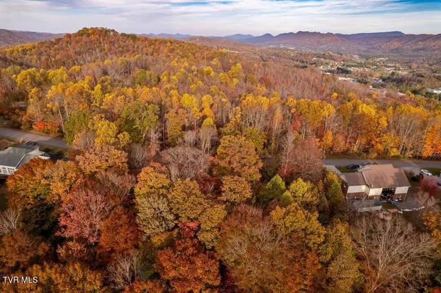 $25,000 | Tbd Airport Road, Cedar Bluff, VA 24609