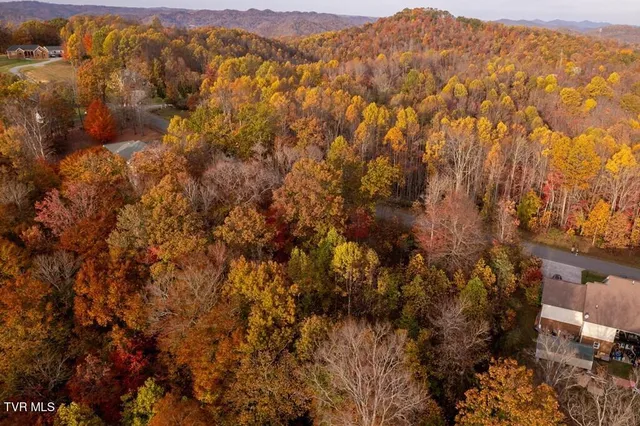 $25,000 | Tbd Airport Road, Cedar Bluff, VA 24609