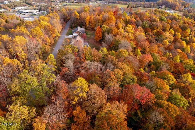 $25,000 | Tbd Airport Road, Cedar Bluff, VA 24609