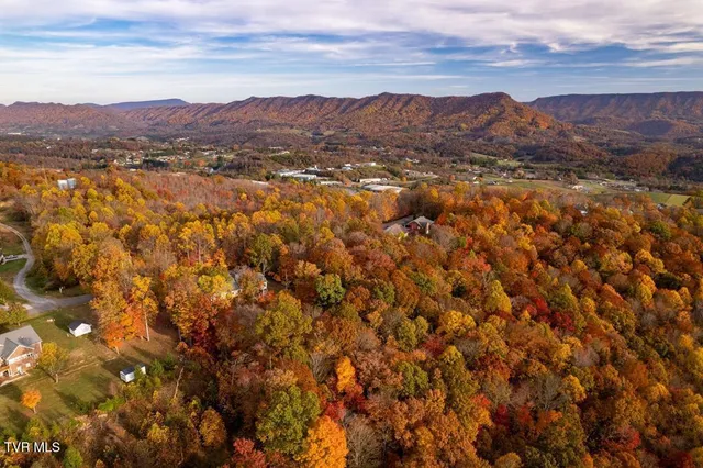 $25,000 | Tbd Airport Road, Cedar Bluff, VA 24609