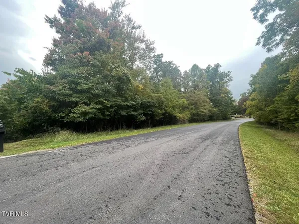 $25,000 | Tbd Airport Road, Cedar Bluff, VA 24609