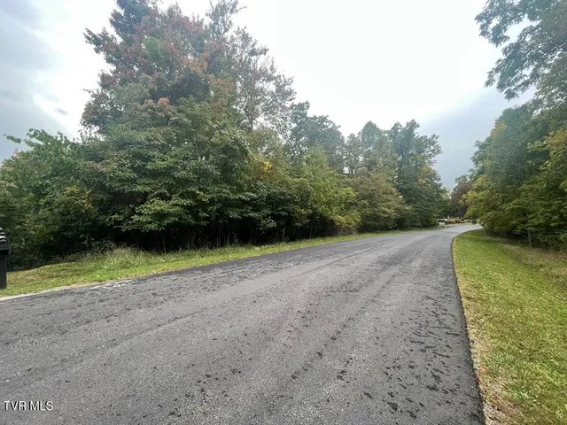 $25,000 | Tbd Airport Road, Cedar Bluff, VA 24609