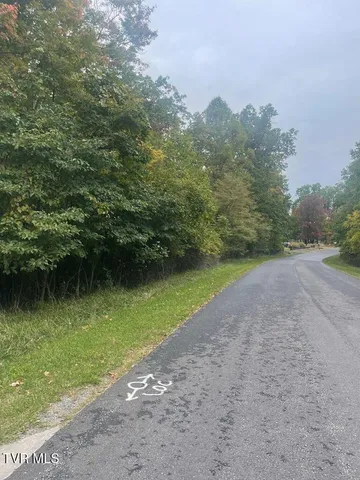 $25,000 | Tbd Airport Road, Cedar Bluff, VA 24609
