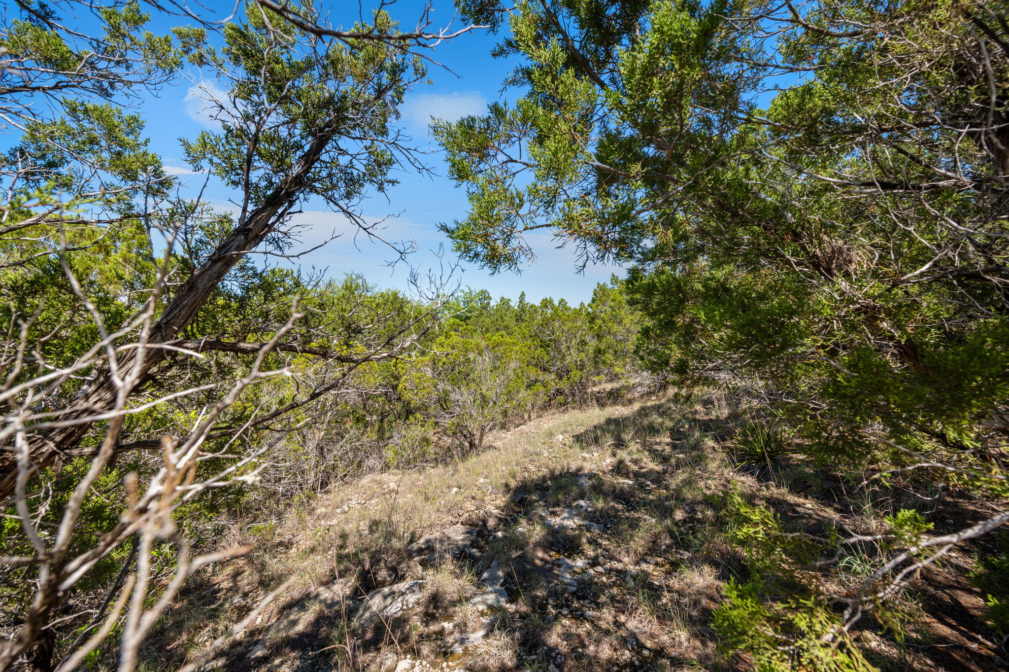 28801 Rim Rock Road Marble Falls, TX 78654 - Photo 11 of 12