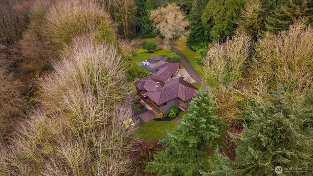 an aerial view of a house with a yard and a large tree
