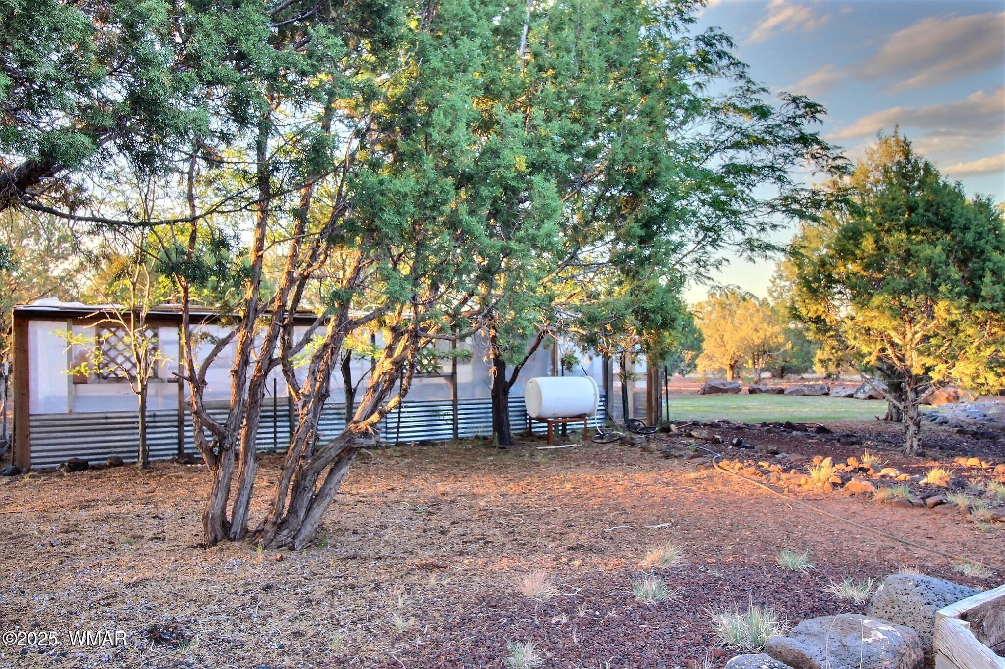 7803 Stokes Lane Show Low, AZ 85901 - Photo 19 of 25 a view of a yard with a tree