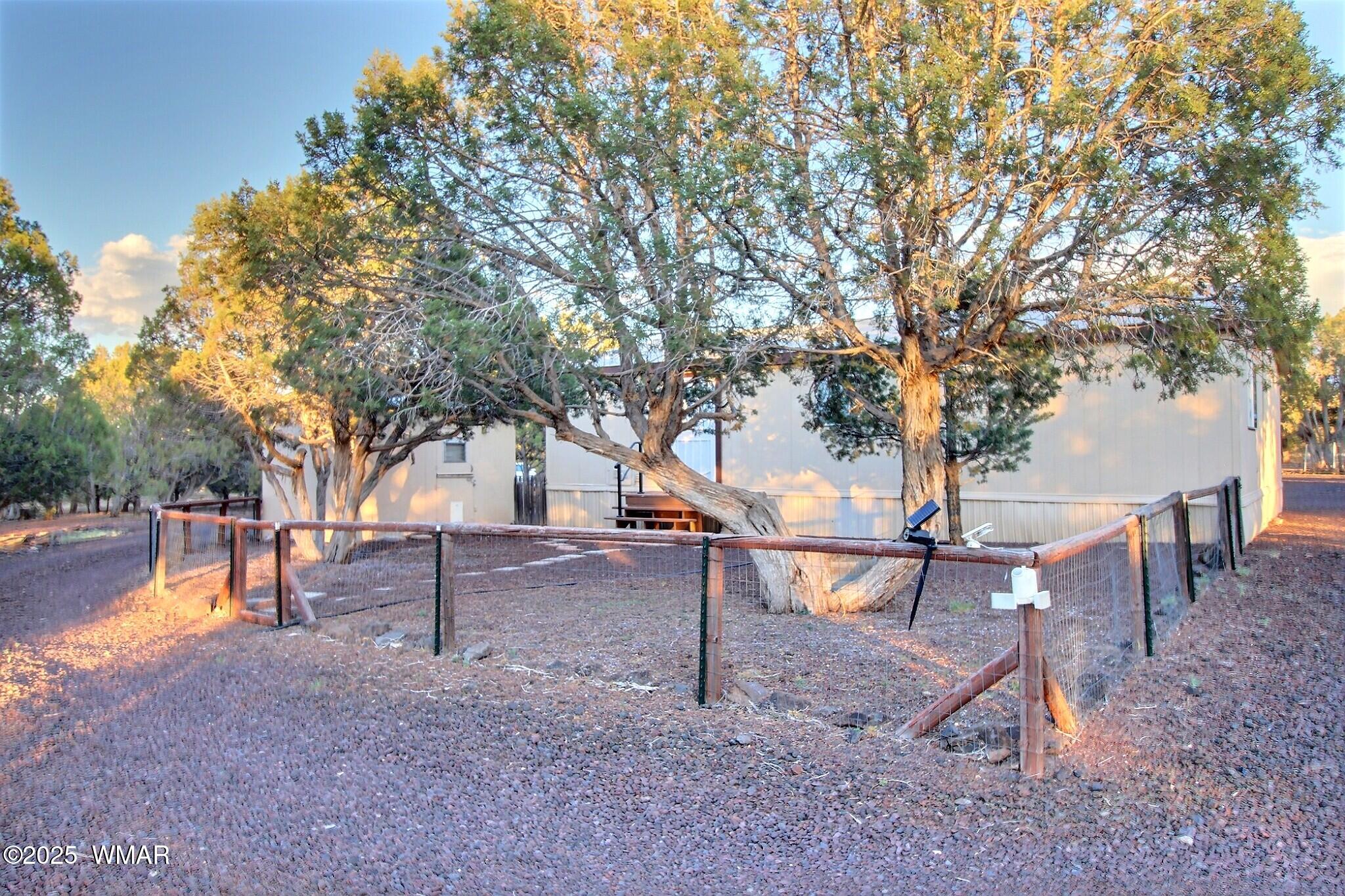 7803 Stokes Lane Show Low, AZ 85901 - Photo 22 of 25 a bench is sitting in the middle of a yard