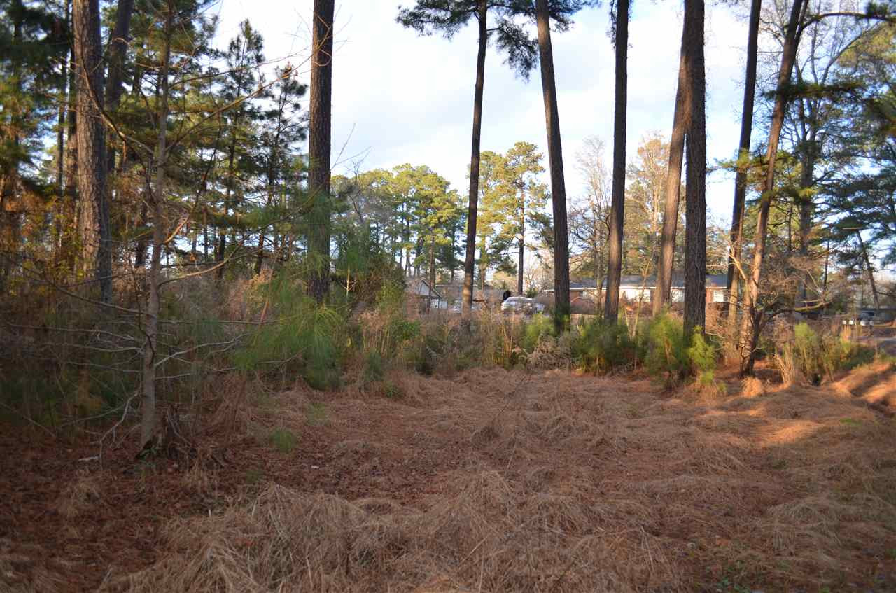 1123 Hodge Road Knightdale, NC 27545 - Photo 28 of 30 Photo 28