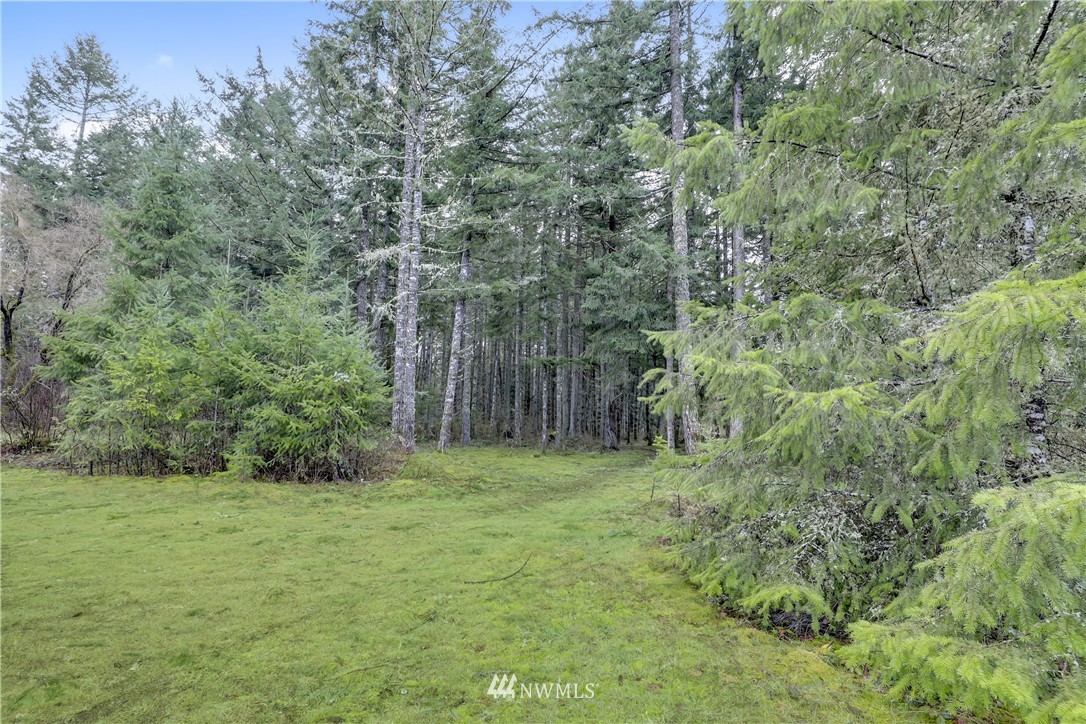 12901 Military Road Southeast Rainier, WA 98576 - Photo 36 of 37 Gallery Image 36