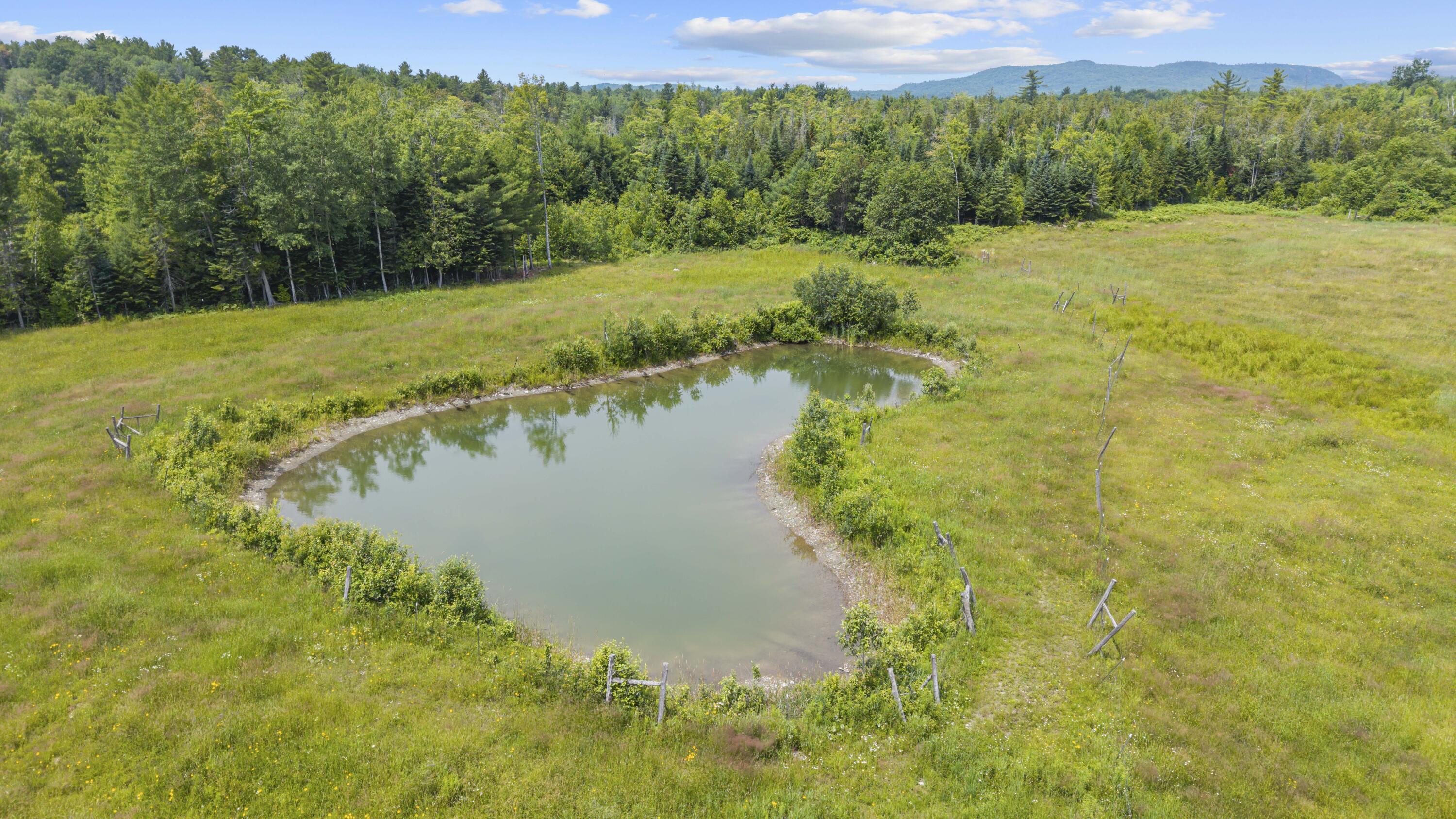 232 Wharff Road Guilford, ME 04443 - Photo 54 of 65 DJI_20260707120928_0913_D