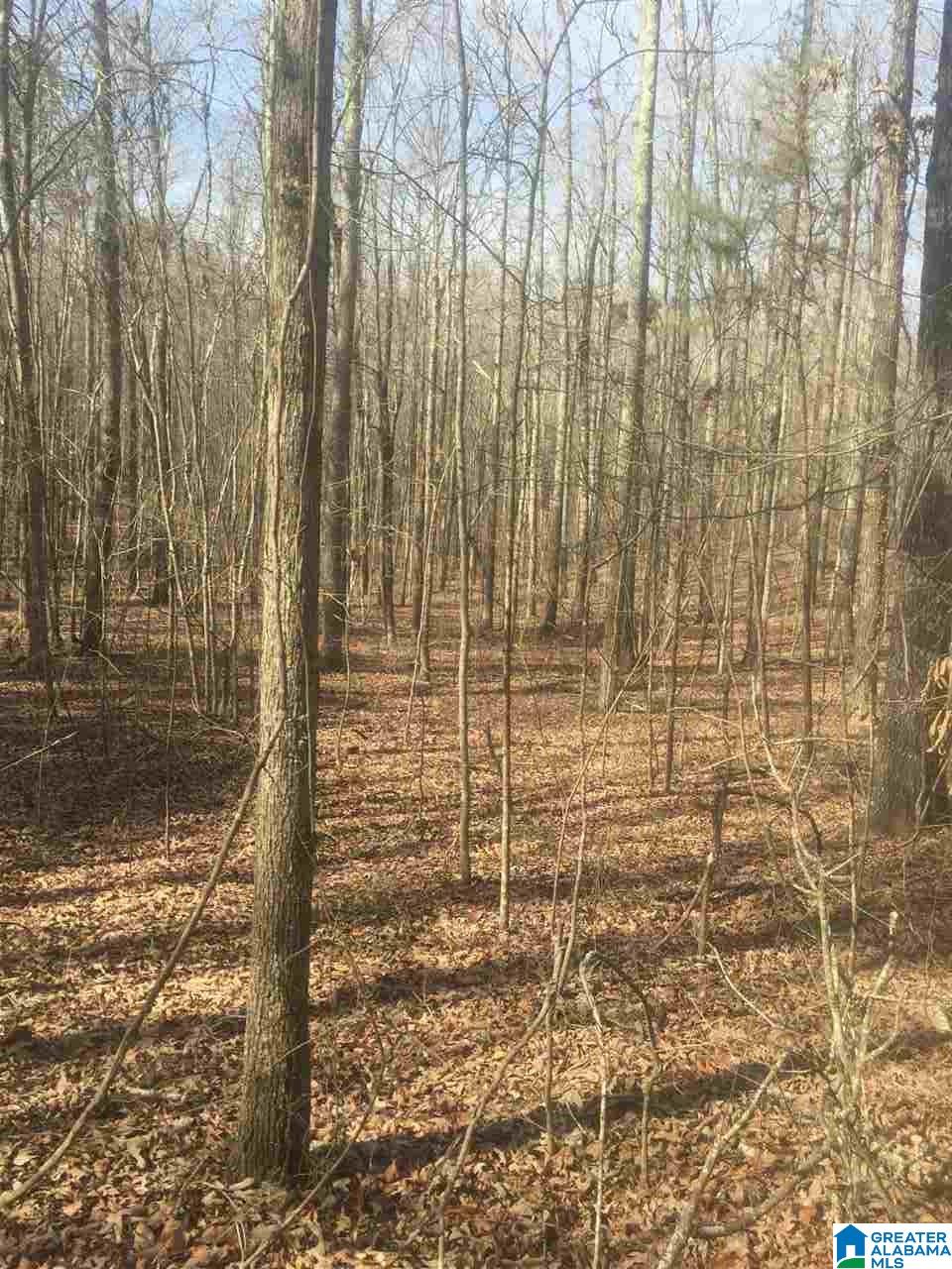 Eureka Road, Unit 1 Lincoln, AL 35096 - Photo 3 of 34