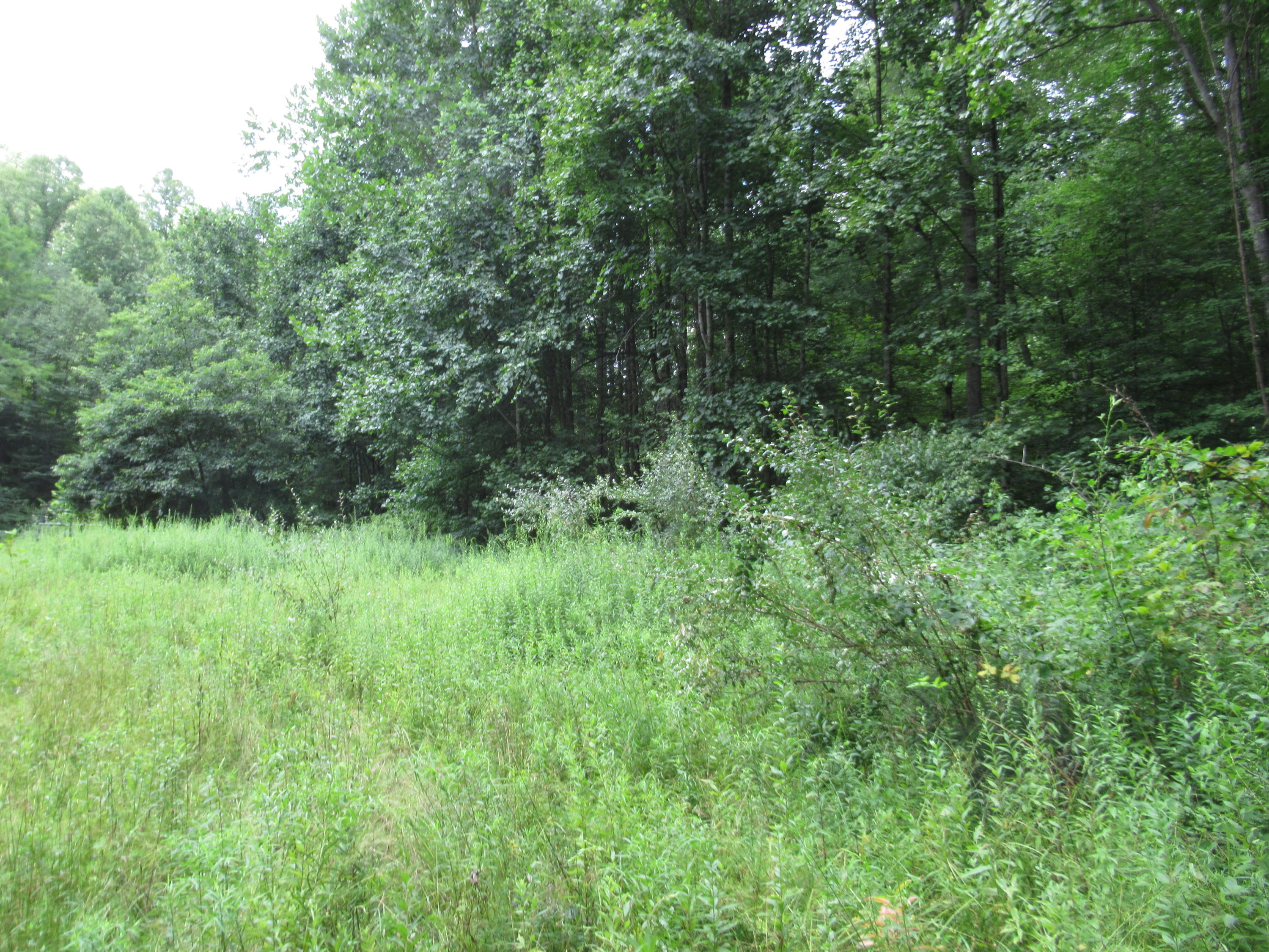281 Pine Branch Road Shady Spring, WV 25918 - Photo 18 of 22 Gallery Image 18