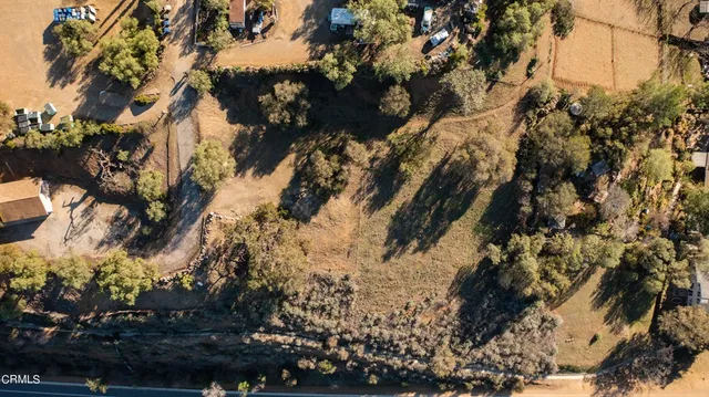 a view of a tree in a yard