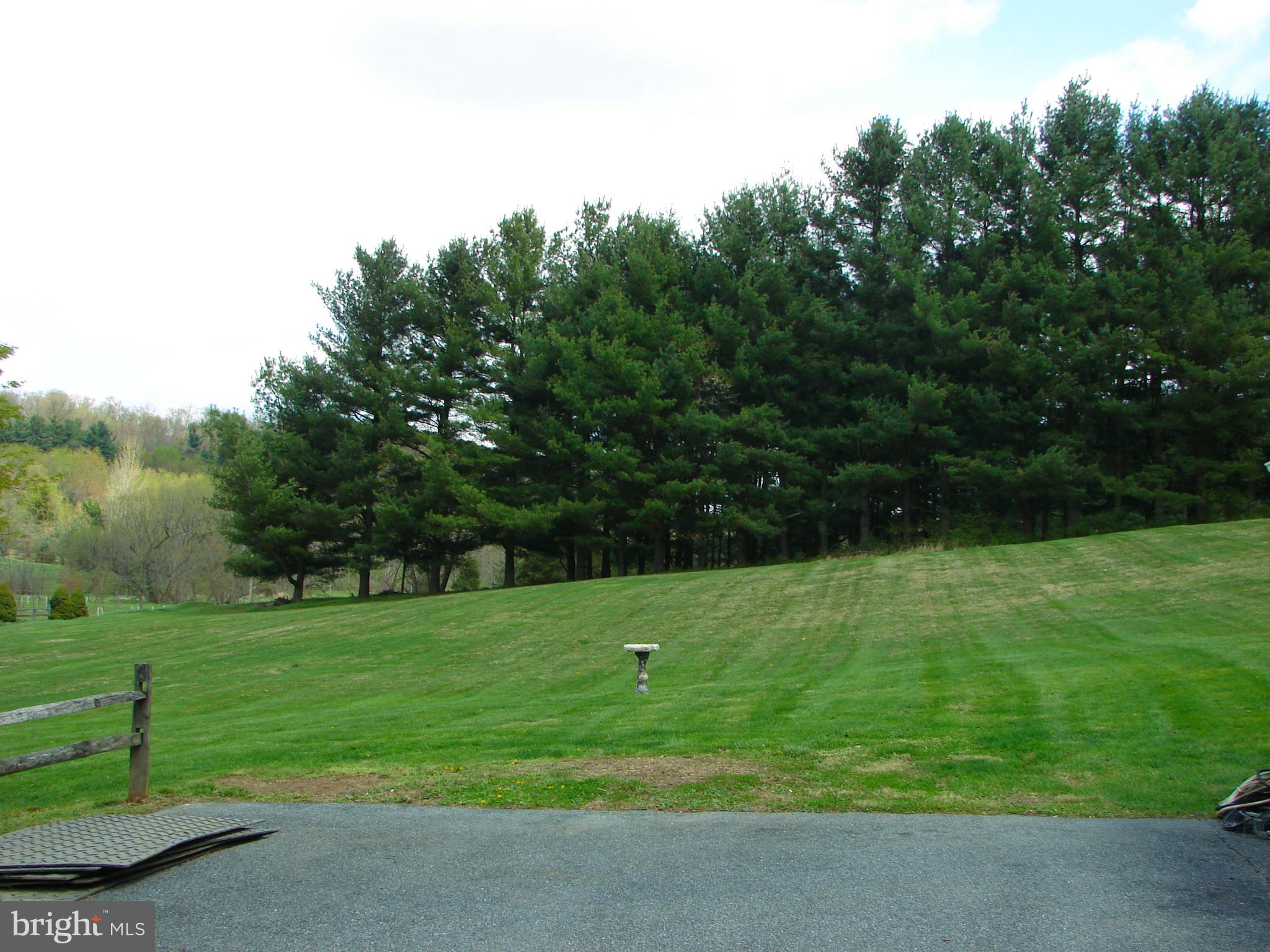 511 Leppo Road Westminster, MD 21158 - Photo 48 of 56 Large side yard bordered by pines