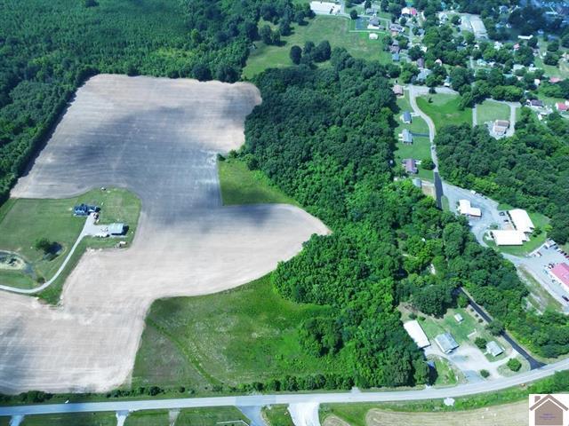 745 Tiline Road Smithland, KY 42081 - Photo 2 of 9 117861-2