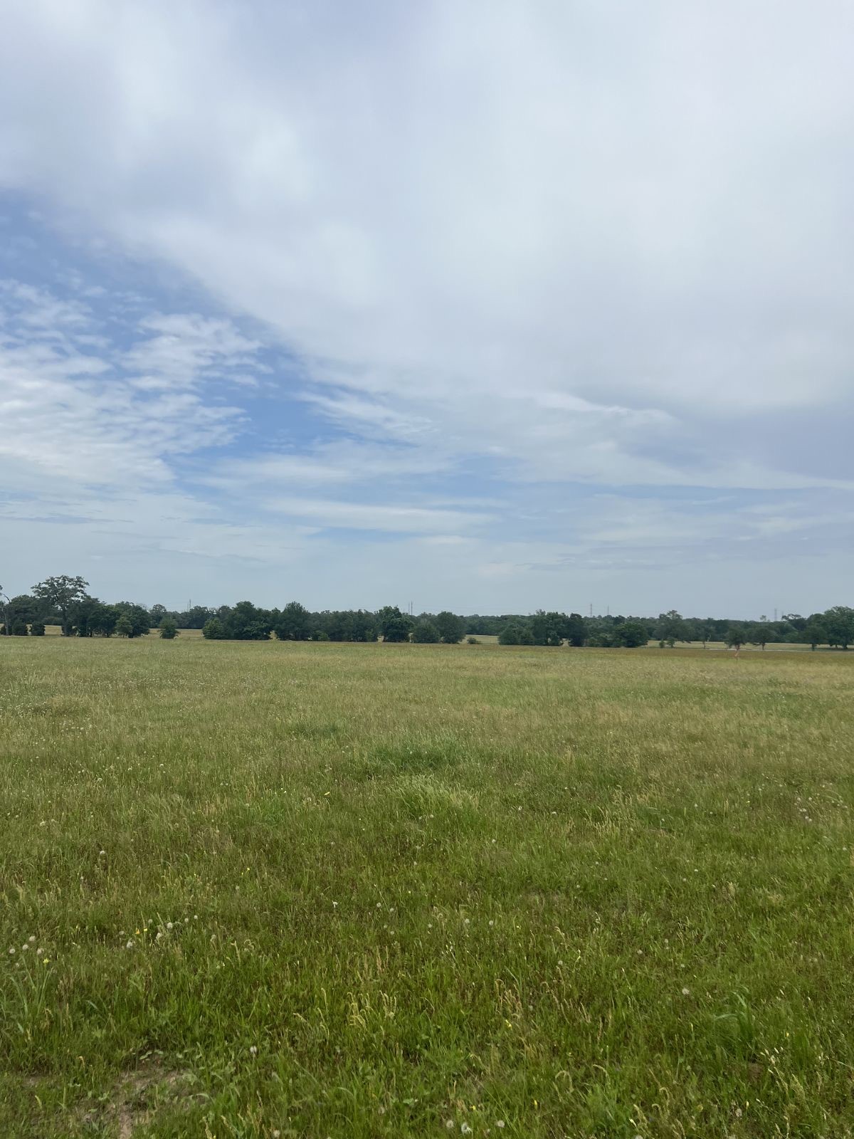 Tbd2 Tbd2 Davis Road La Grange, TX 78945 - Photo 3 of 8 View of local wilderness featuring a rural view