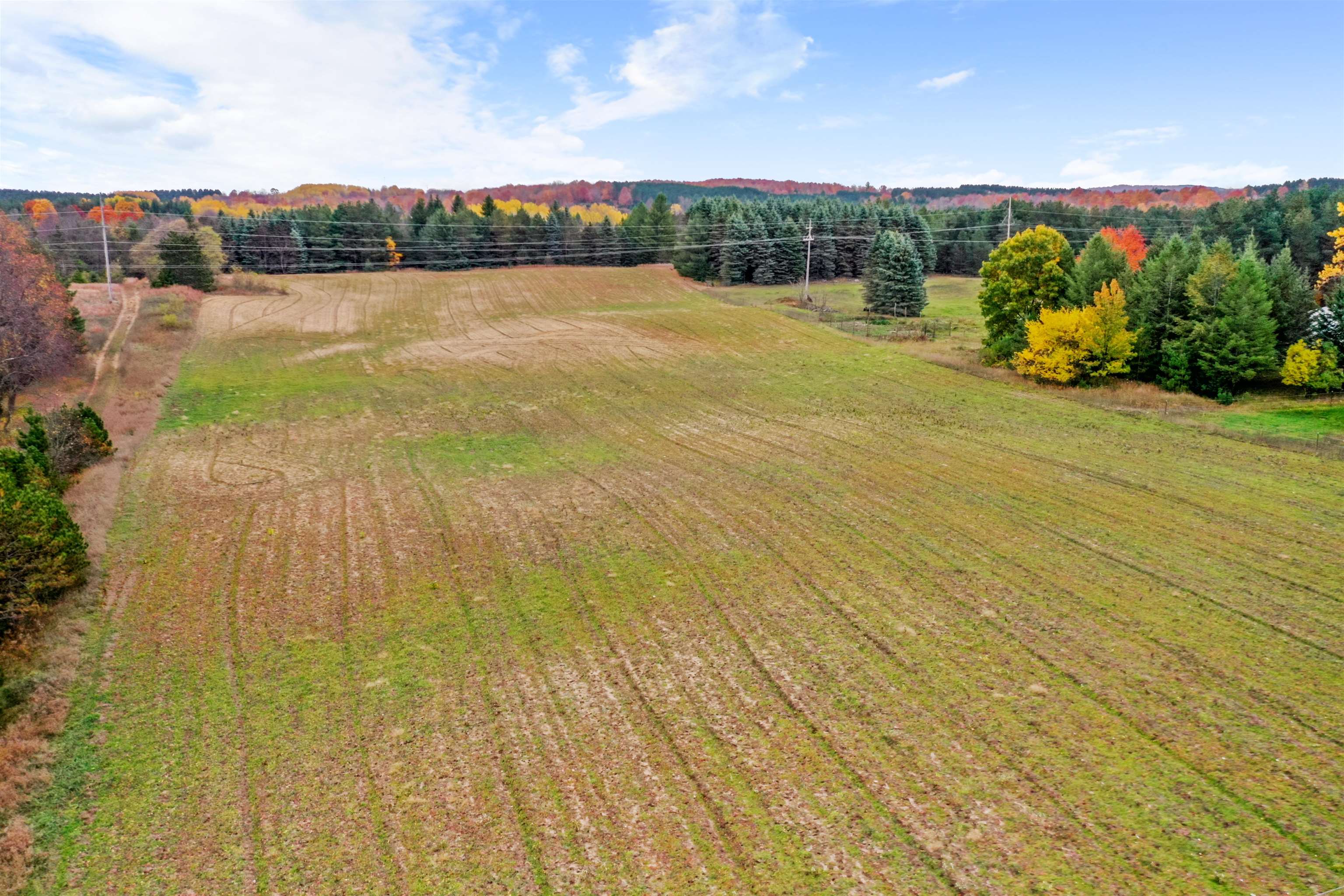3678 North 37 Road Manton, MI 49663 - Photo 11 of 39 Gallery Image 11