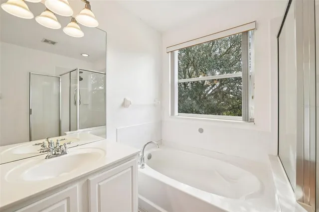 a bathroom with a tub sink and mirror