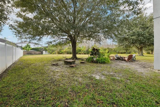 a view of a park with large trees