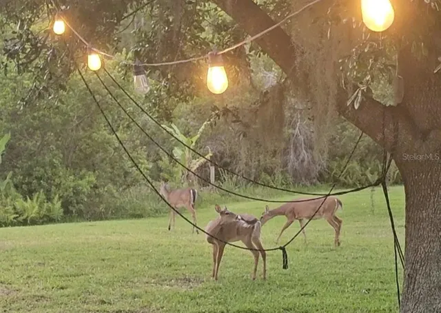 $545,000 | 14832 Windigo Lane, Orlando, FL 32828