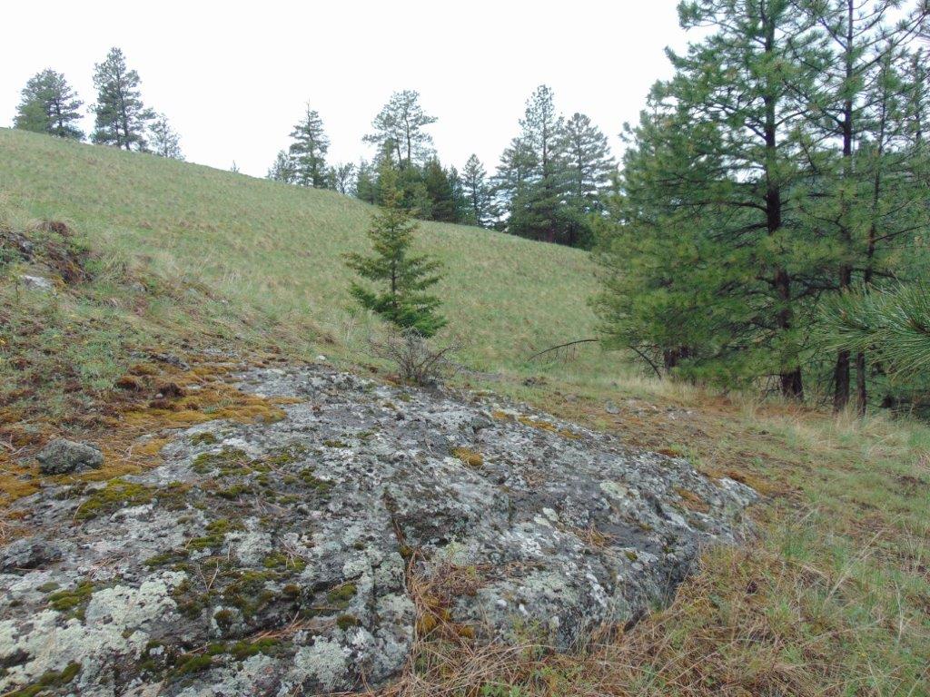 Tbd Shady Spring Lane Cascade, MT 59421 - Photo 40 of 78 Gallery Image 40