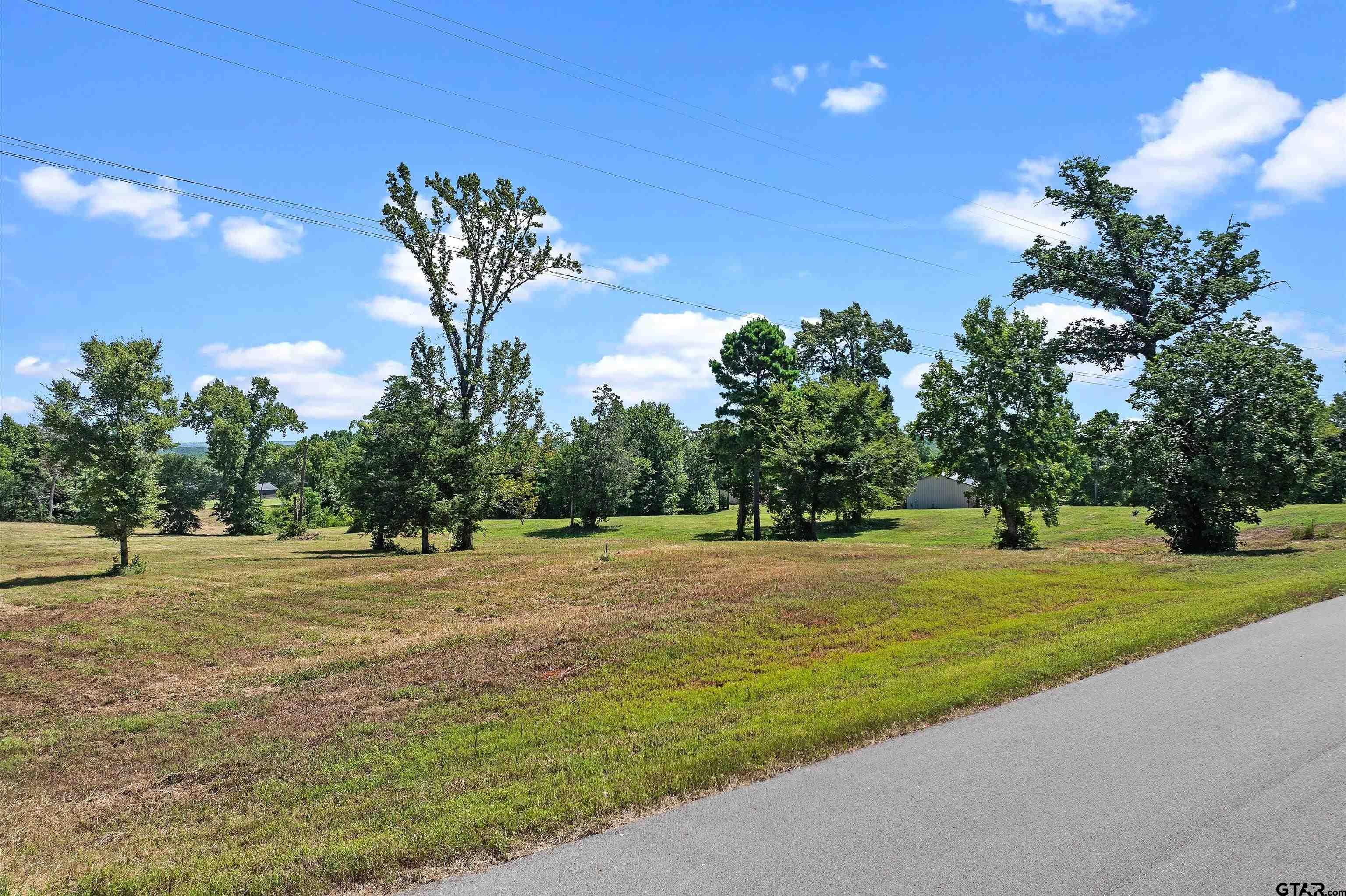 Tbd Tbd Ridgeline Loop Winona, TX 75792 - Photo 2 of 9 a view of a big room with a big yard and palm trees
