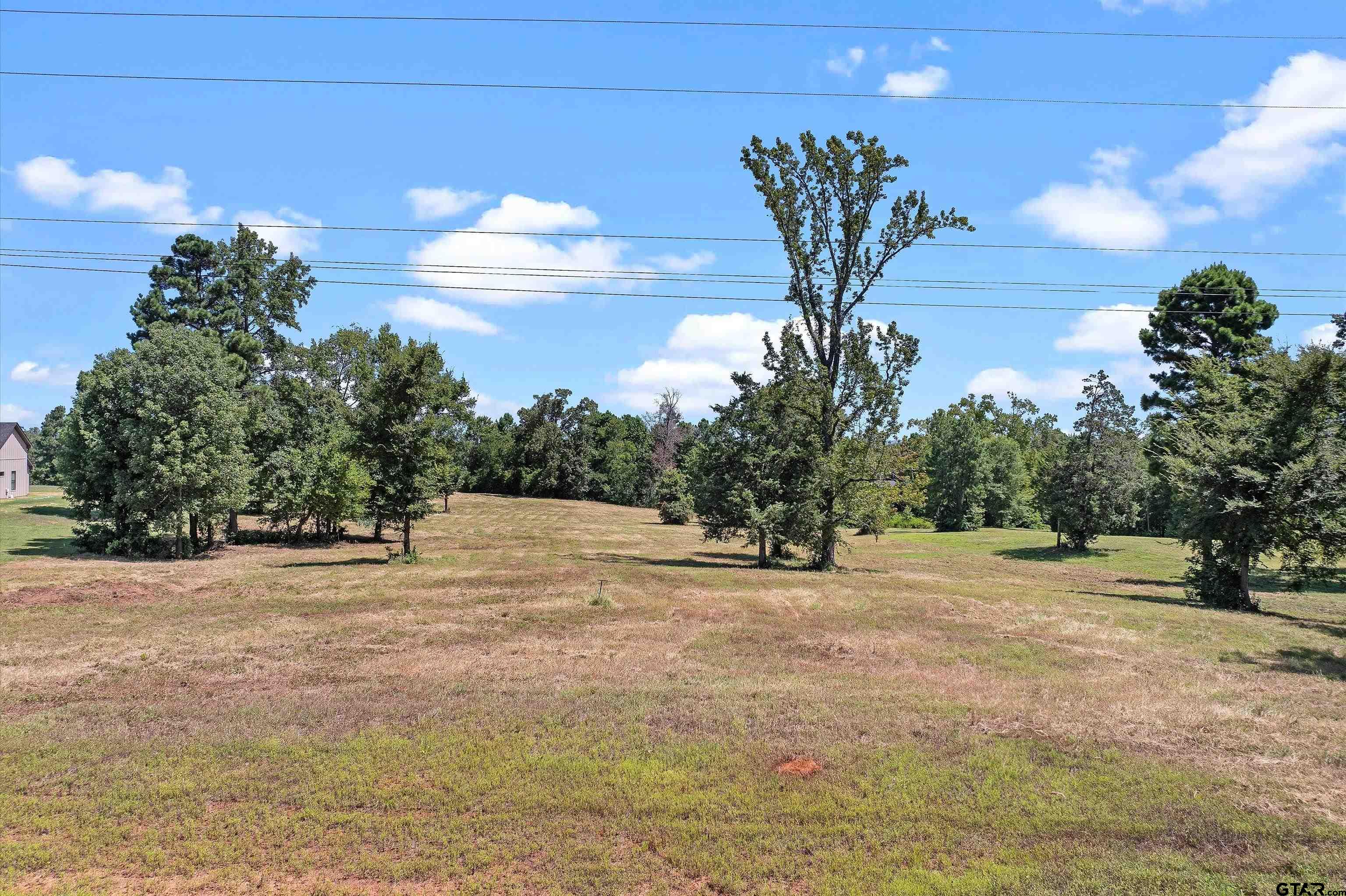 Tbd Tbd Ridgeline Loop Winona, TX 75792 - Photo 9 of 9 a view of a outdoor space with trees