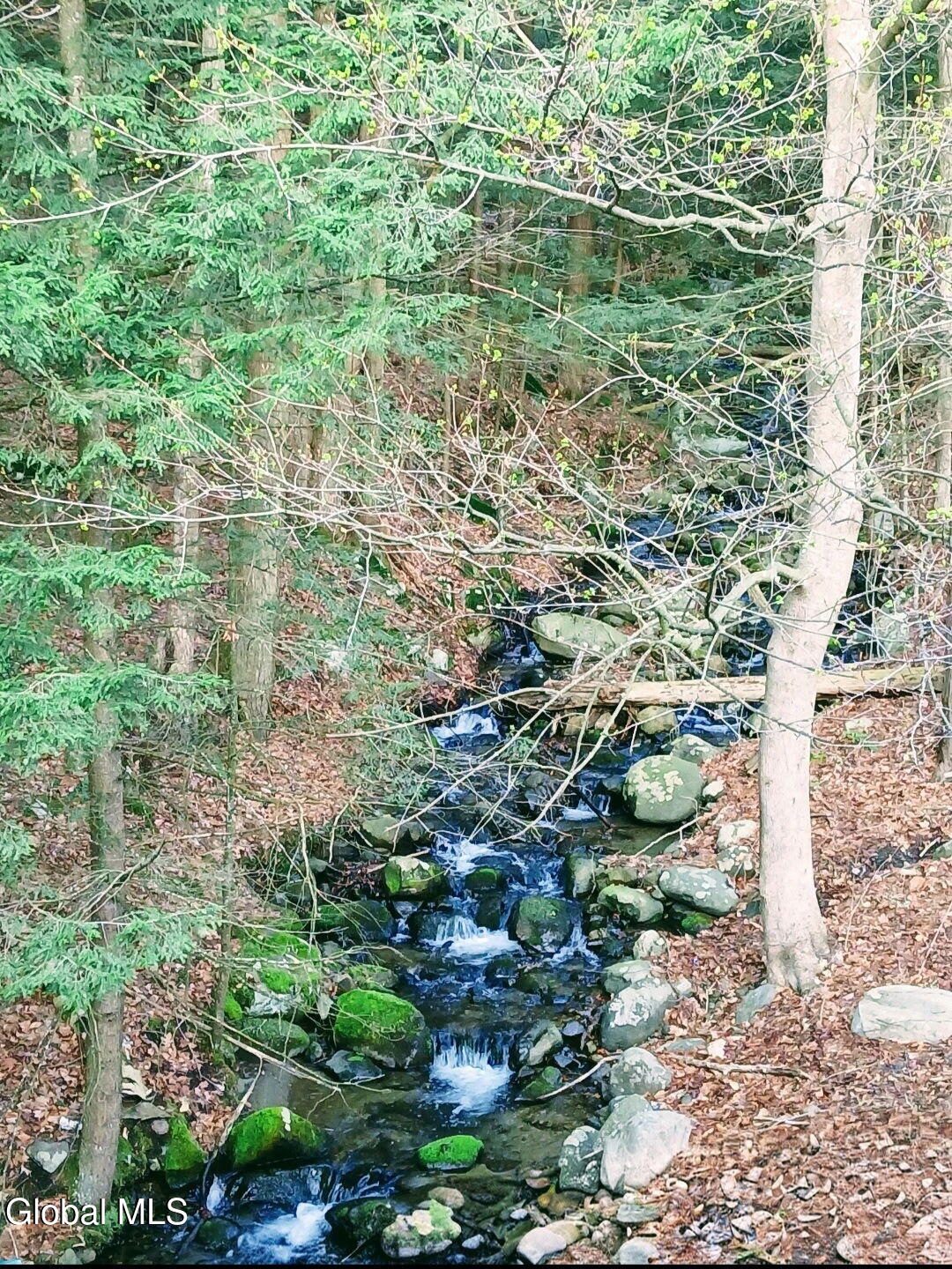780 Diamond Point Road Diamond Point, NY 12824 - Photo 3 of 29 1000031721