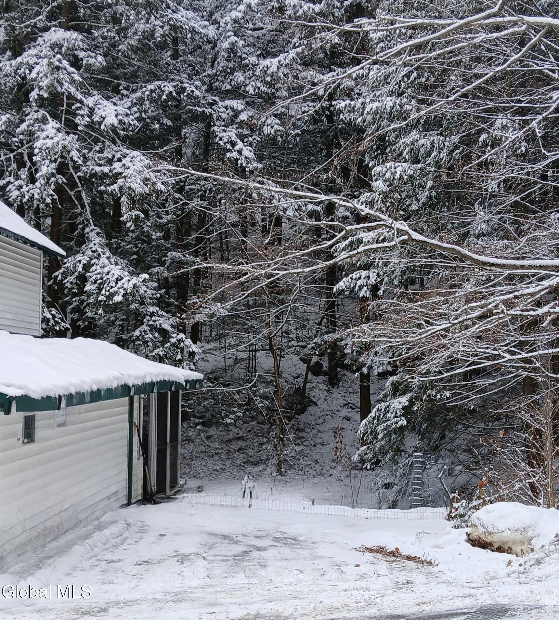 780 Diamond Point Road Diamond Point, NY 12824 - Photo 4 of 35 4891434872225008107