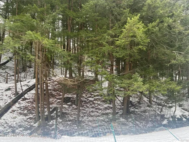 $479,000 | 780 Diamond Point Road, Diamond Point, NY 12824