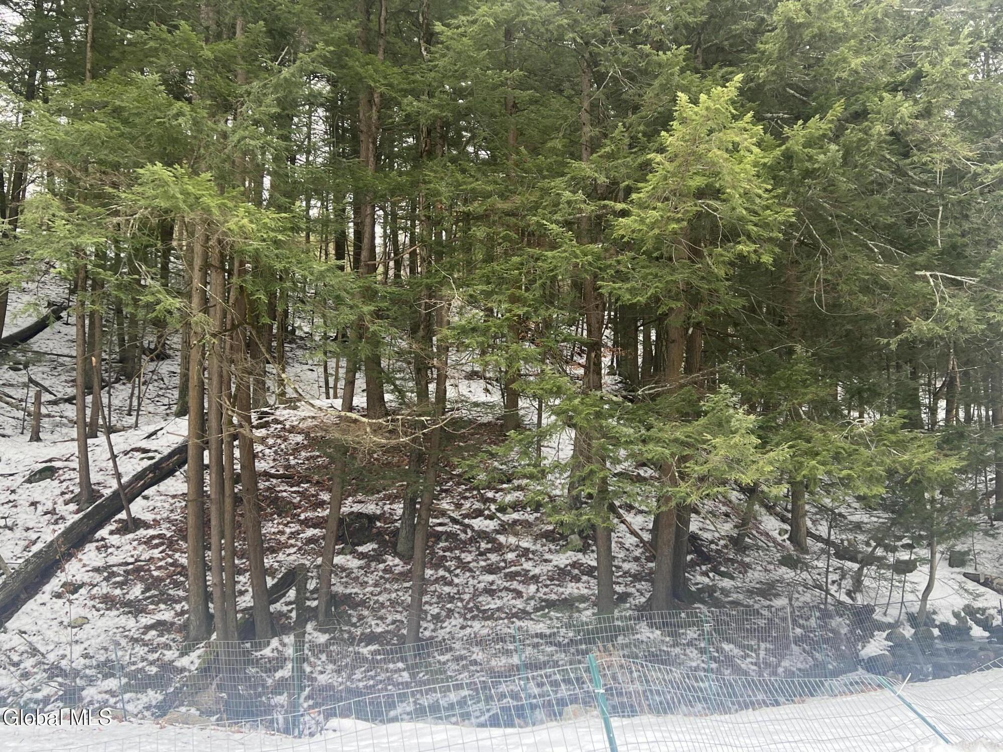 780 Diamond Point Road Diamond Point, NY 12824 - Photo 6 of 35 IMG_9613